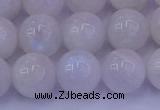 CMS644 15.5 inches 12mm round white moonstone beads wholesale