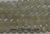 CMS651 15.5 inches 6mm round grey moonstone beads wholesale
