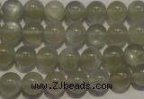 CMS652 15.5 inches 8mm round grey moonstone beads wholesale