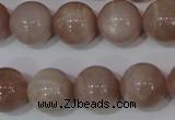 CMS757 15.5 inches 15mm round natural moonstone beads wholesale