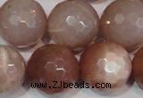 CMS770 15.5 inches 20mm faceted round natural moonstone beads
