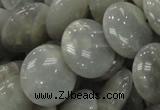 CMS79 15.5 inches 20mm flat round moonstone gemstone beads