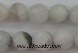 CMS802 15.5 inches 8mm faceted round white moonstone beads