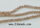 CMS81 15.5 inches 4mm faceted round moonstone gemstone beads