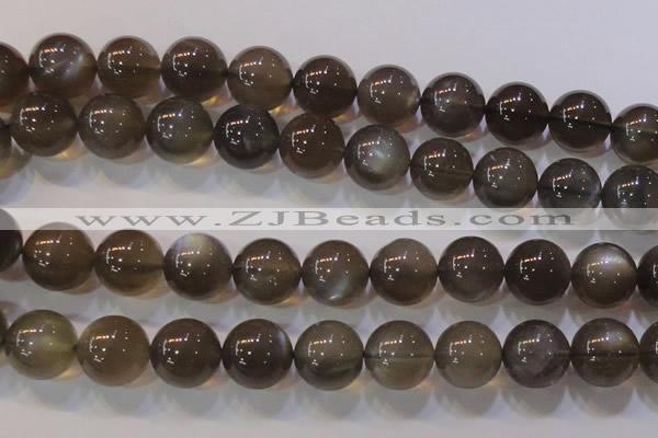 CMS855 15.5 inches 14mm round natural black moonstone beads