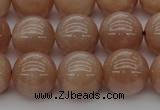 CMS934 15.5 inches 12mm round A grade moonstone gemstone beads