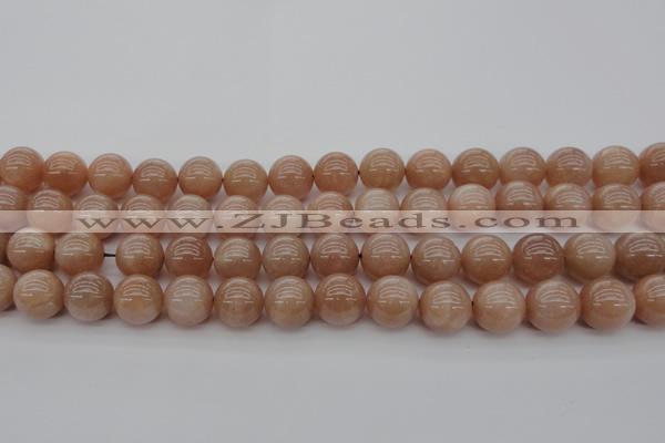 CMS934 15.5 inches 12mm round A grade moonstone gemstone beads