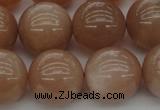 CMS935 15.5 inches 14mm round A grade moonstone gemstone beads