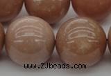 CMS938 15.5 inches 20mm round A grade moonstone gemstone beads
