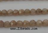 CMS940 15.5 inches 4mm faceted round A grade moonstone gemstone beads