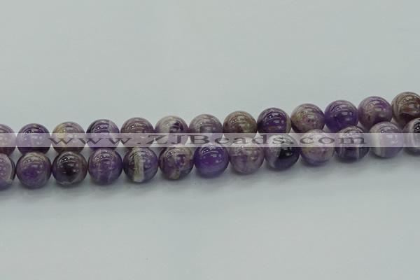 CNA1005 15.5 inches 14mm round dogtooth amethyst beads wholesale