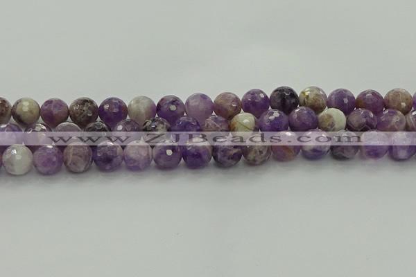 CNA1013 15.5 inches 10mm faceted round dogtooth amethyst beads