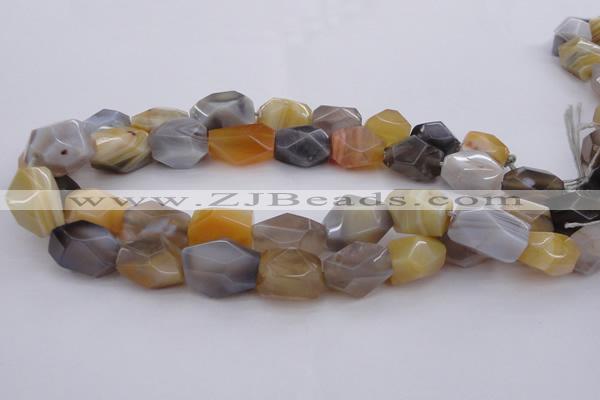 CNG1061 15.5 inches 12*16mm - 15*20mm faceted nuggets Botswana agate beads