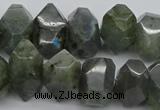 CNG1152 15.5 inches 10*14mm - 15*20mm faceted nuggets labradorite beads