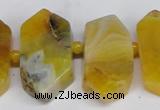 CNG1392 15.5 inches 15*25mm - 20*40mm wand agate gemstone beads