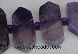 CNG1394 15.5 inches 15*25mm - 20*40mm wand agate gemstone beads