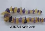 CNG2543 12*20mm – 15*30mm nuggets lavender amethyst & citrine beads