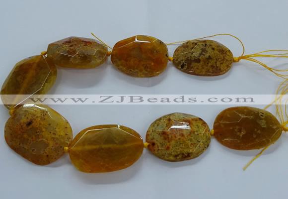 CNG2647 15.5 inches 30*38mm - 40*50mm freeform agate beads