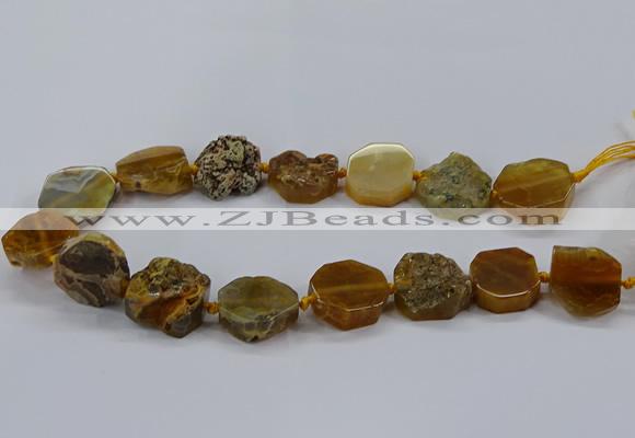 CNG2768 15.5 inches 20*22mm - 22*26mm freeform agate beads