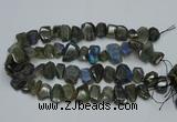 CNG2825 15.5 inches 13*18mm - 15*20mm freeform labradorite beads