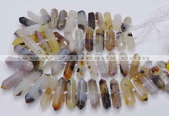 CNG3210 15.5 inches 10*25mm - 12*45mm faceted nuggets Montana agate beads
