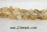 CNG3563 15.5 inches 18*20mm - 25*30mm nuggets rough citrine beads