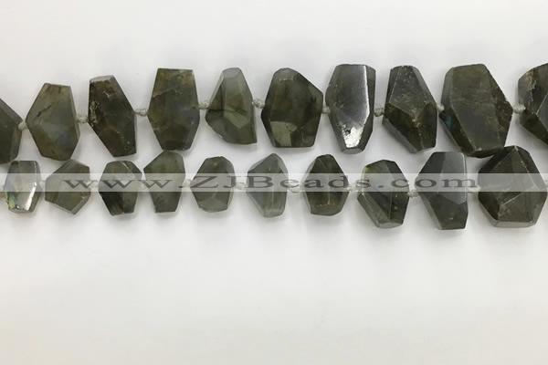 CNG3590 10*16mm - 15*30mm faceted nuggets labradorite beads