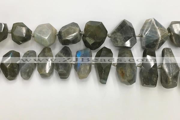 CNG3591 15*25mm - 25*35mm faceted nuggets labradorite beads