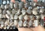 CNG3605 15.5 inches 13*20mm - 15*24mm faceted nuggets moonstone beads