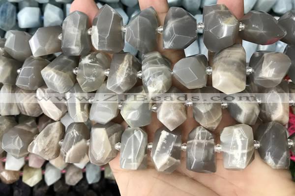 CNG3605 15.5 inches 13*20mm - 15*24mm faceted nuggets moonstone beads