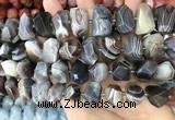 CNG3614 13*20mm - 15*24mm faceted nuggets Botswana agate beads