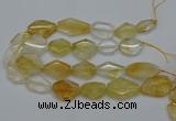 CNG5079 15.5 inches 20*30mm - 35*45mm freeform citrine beads