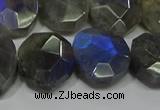 CNG5144 15.5 inches 15*18mm - 15*20mm faceted freeform labradorite beads