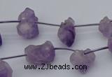 CNG5260 15.5 inches 5*8mm - 15*20mm nuggets amethyst beads