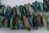 CNG5438 15.5 inches 3*10mm - 5*18mm nuggets apatite beads