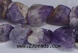 CNG5532 15.5 inches 10*14mm - 12*16mm nuggets dogtooth amethyst beads