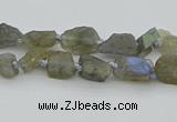 CNG5620 6*9mm - 10*16mm nuggets labradorite gemstone beads