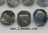 CNG5722 15.5 inches 12*16mm - 15*20mm faceted freeform labradorite beads