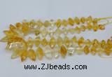 CNG5825 15.5 inches 8*18mm - 13*30mm freeform citrine beads