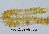 CNG5825 15.5 inches 8*18mm - 13*30mm freeform citrine beads