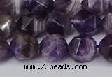 CNG6165 15.5 inches 10mm faceted nuggets dogtooth amethyst beads