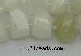 CNG6925 12*16mm - 15*20mm faceted nuggets white moonstone beads