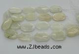 CNG6927 20*30mm - 35*45mm faceted freeform white moonstone beads