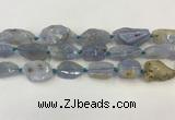 CNG6950 15.5 inches 18*20mm - 22*30mm freeform blue chalcedony beads