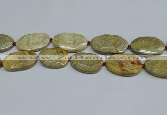 CNG7082 25*35mm - 35*45mm faceted freeform chrysanthemum agate beads