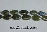 CNG7098 25*35mm - 35*45mm faceted freeform labradorite beads