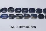 CNG7117 15.5 inches 20*25mm - 25*30mm freeform blue dumortierite beads