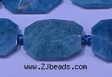 CNG7530 15.5 inches 18*25mm - 25*35mm faceted freeform amazonite beads