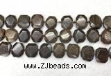 CNG7568 15.5 inches 18*25mm - 20*28mm faceted freeform bronzite beads