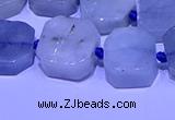 CNG7603 15.5 inches 12*14mm - 15*16mm freeform aquamarine beads